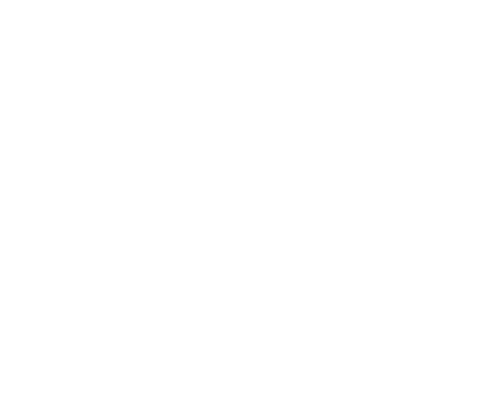 Journée du parachêvement